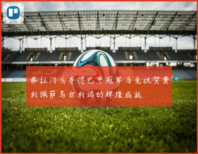 弗拉门戈夺得巴甲冠军马竞祝贺费利佩萨乌尔利诺的辉煌成就