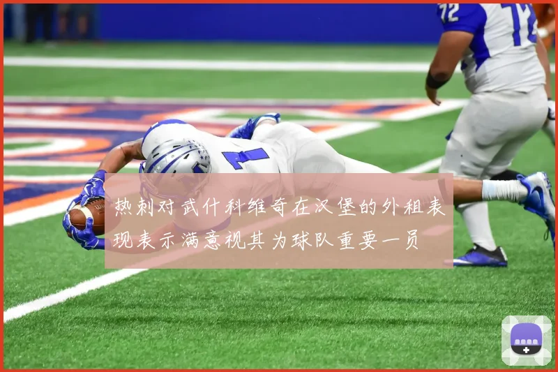 热刺对武什科维奇在汉堡的外租表现表示满意视其为球队重要一员