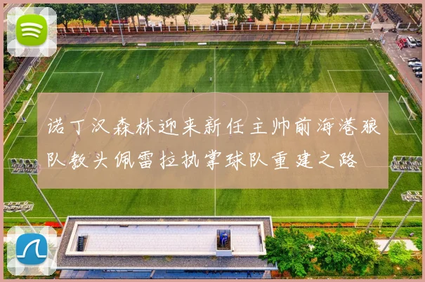 诺丁汉森林迎来新任主帅前海港狼队教头佩雷拉执掌球队重建之路