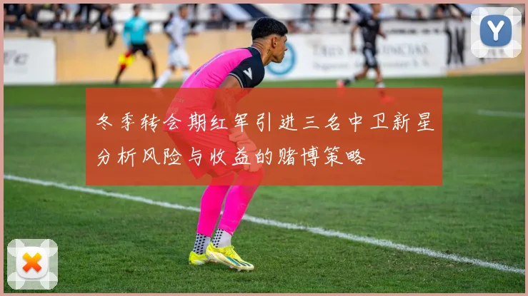 冬季转会期红军引进三名中卫新星分析风险与收益的赌博策略