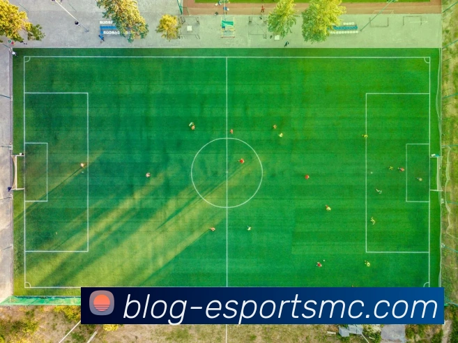 易倍体育APP 高清赛事图